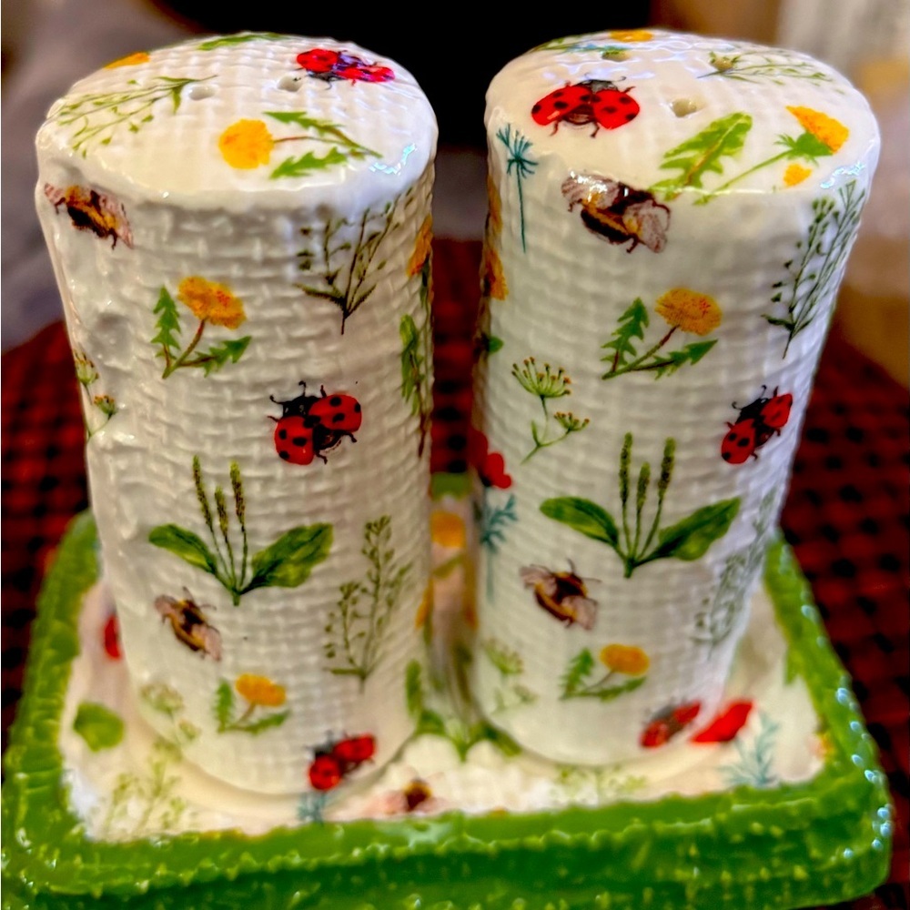 Wildflower collection w/Lady Bugs &  Bees Salt n Pepper Shaker